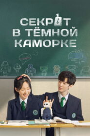 Секрет в тёмной каморке (2021)