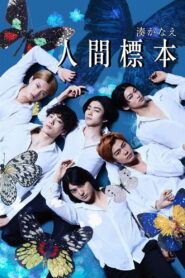 人間標本 (2025)