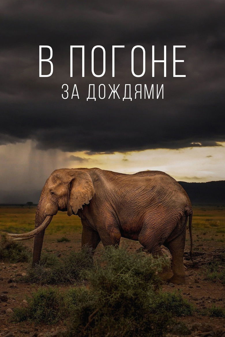 В погоне за дождями (2023)