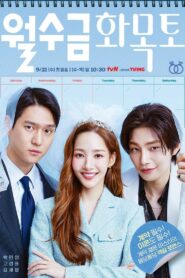 Любовь по контракту (2022)