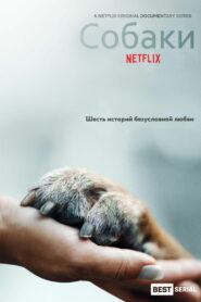 Собаки (2018)