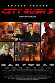 Переполох в городе 3 (2023)