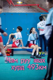 Лечу к тебе со скоростью 493 км/ч (2022)