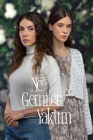 Какие корабли я сжёг (2023)