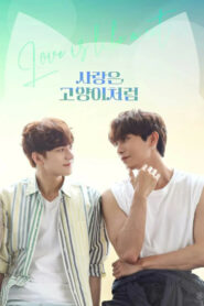 Любовь подобна кошке (2024)