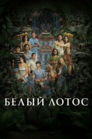 Белый лотос (2021)
