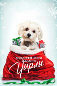 Рождественское желание Чарли (2020)