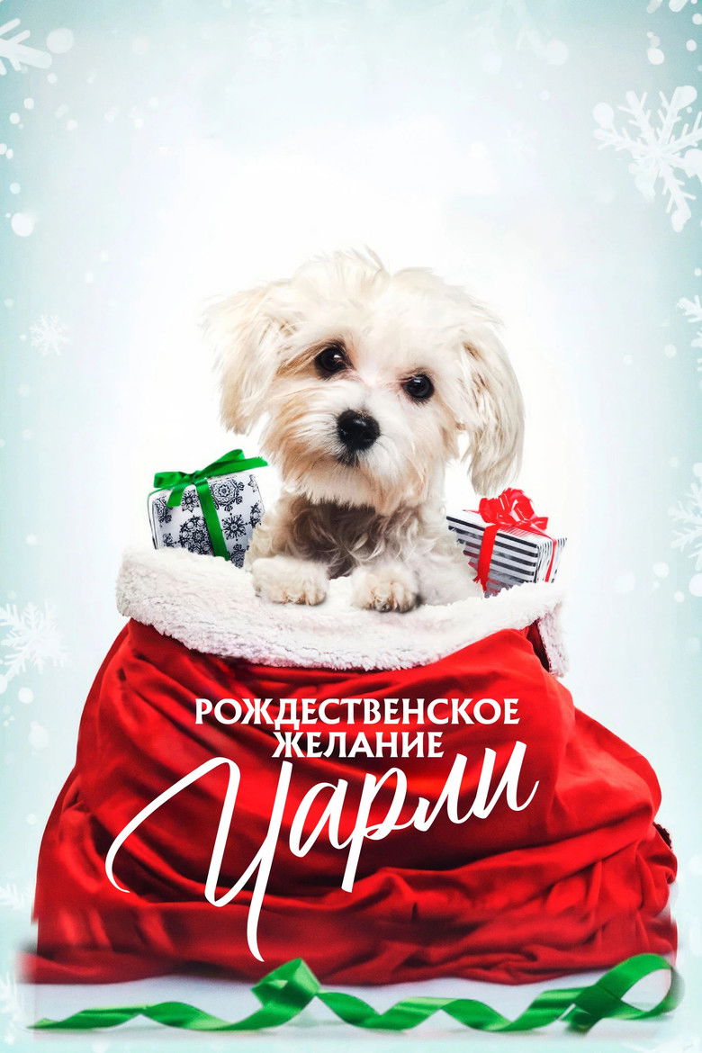 Рождественское желание Чарли (2020)