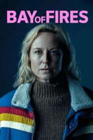 Залив огней (2023)