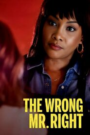 The Wrong Mr. Right (2021)
