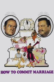 Как вступить в брак (1969)