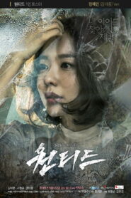 Разыскивается (2016)