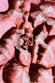 Den offentlige røst (1988)