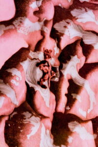 Den offentlige røst (1988)