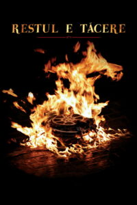 Дальше – тишина (2008)