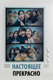 Настоящее прекрасно (2022)
