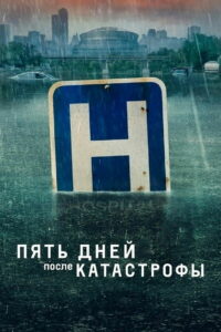Пять дней после катастрофы (2022)