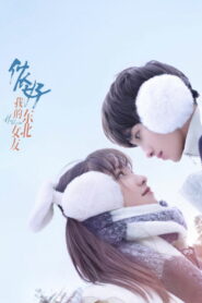 侬好，我的东北女友 (2022)