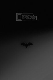 National Geographic: Wild Worlds Weirdest Freaks of Nature (2010)