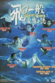 飛一般愛情小說 (1997)