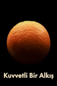 Бурные аплодисменты (2024)