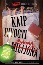 Kaip pavogti žmoną (2013)
