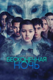 Бесконечная ночь (2022)
