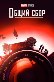 Marvel Studios: Общий сбор (2021)
