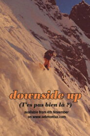 T’es pas bien là ? (2013)