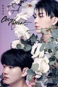 컬러 러쉬 (2020)