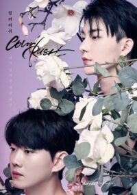 컬러 러쉬 (2020)