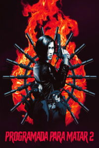 Чёрная кошка 2 (1992)