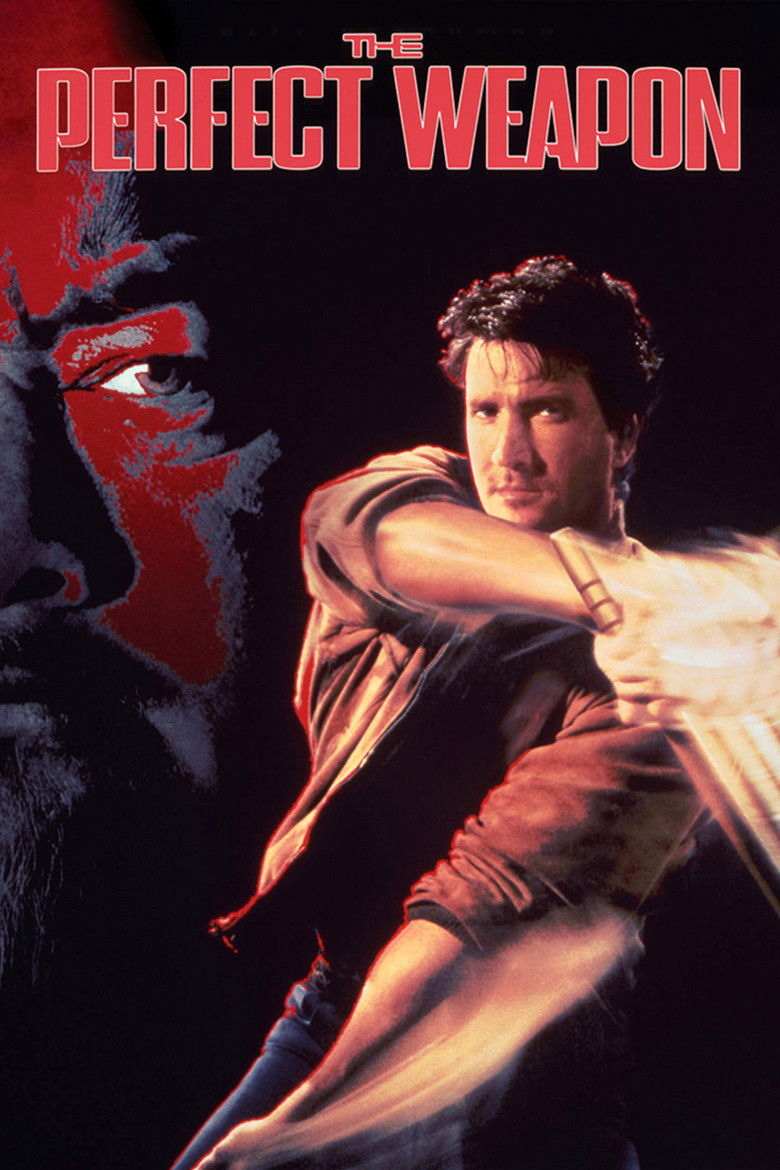 Совершенное оружие (1991)